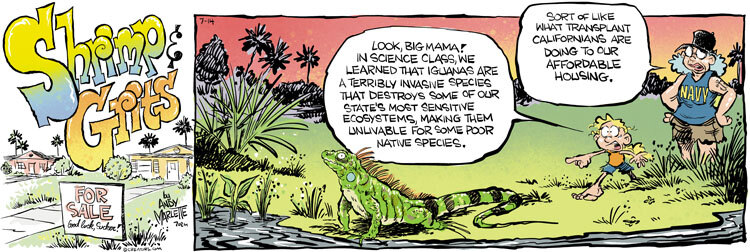 Shrimp and Grits for Jul 14, 2024