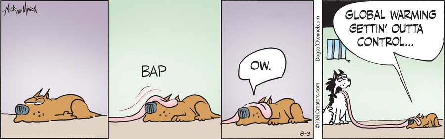 Dogs of C-Kennel for Aug 03, 2024