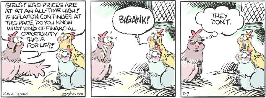 Shrimp and Grits for Aug 07, 2024