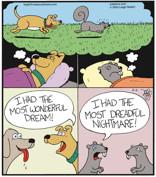 Rubes® for Aug 08, 2024