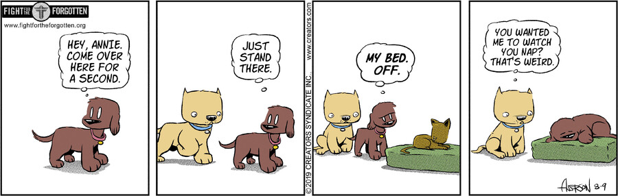 Dog Eat Doug for Aug 09, 2024