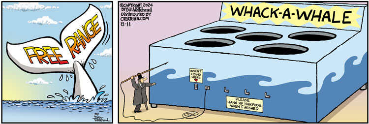 Free Range for Aug 11, 2024