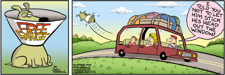 Free Range for Aug 18, 2024