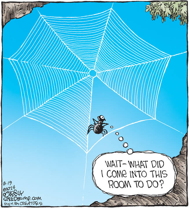 Speed Bump for Aug 19, 2024