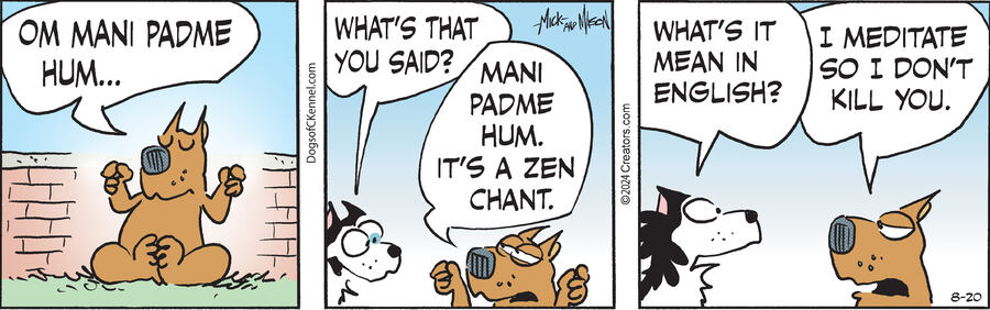 Dogs of C-Kennel for Aug 20, 2024