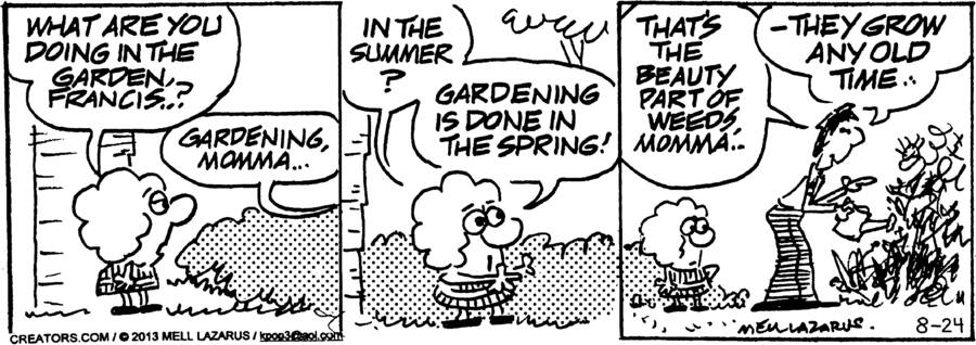 Momma for Aug 24, 2024