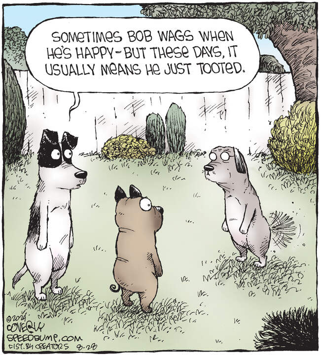 Speed Bump for Aug 28, 2024