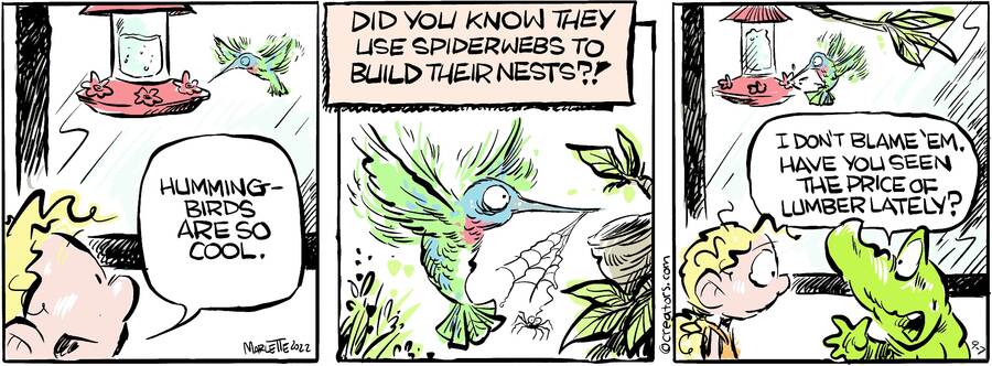 Shrimp and Grits for Sep 07, 2024