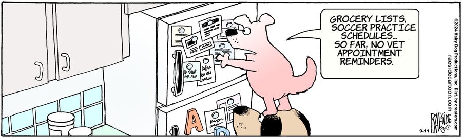 The Other Coast for Sep 11, 2024