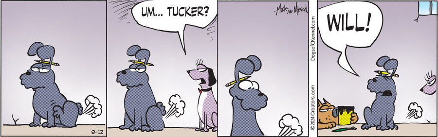 Dogs of C-Kennel for Sep 12, 2024