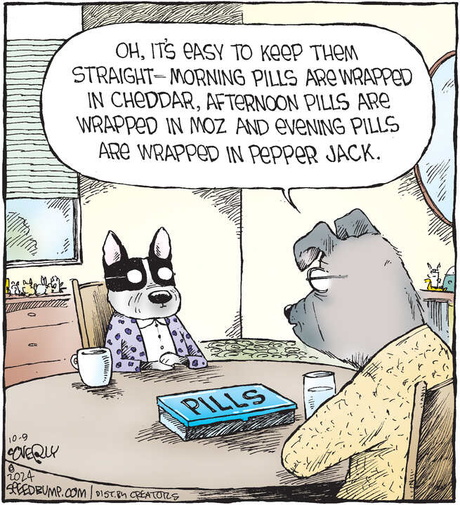 Speed Bump for Oct 09, 2024