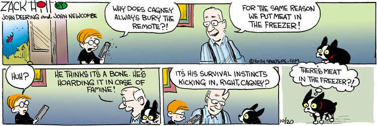 Zack Hill for Oct 20, 2024