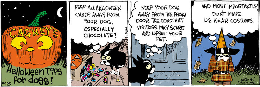 Zack Hill for Oct 25, 2024