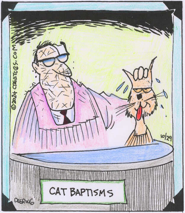 Strange Brew for Oct 29, 2024