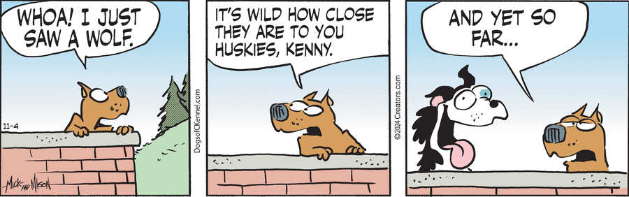 Dogs of C-Kennel for Nov 04, 2024