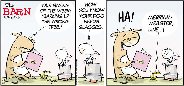 The Barn for Nov 10, 2024