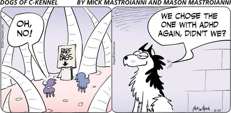 Dogs of C-Kennel for Nov 10, 2024