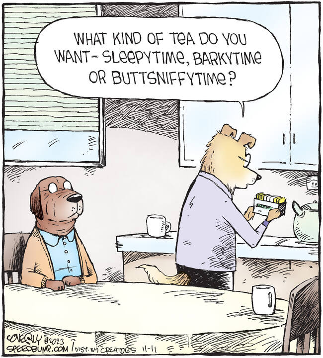 Speed Bump for Nov 11, 2023