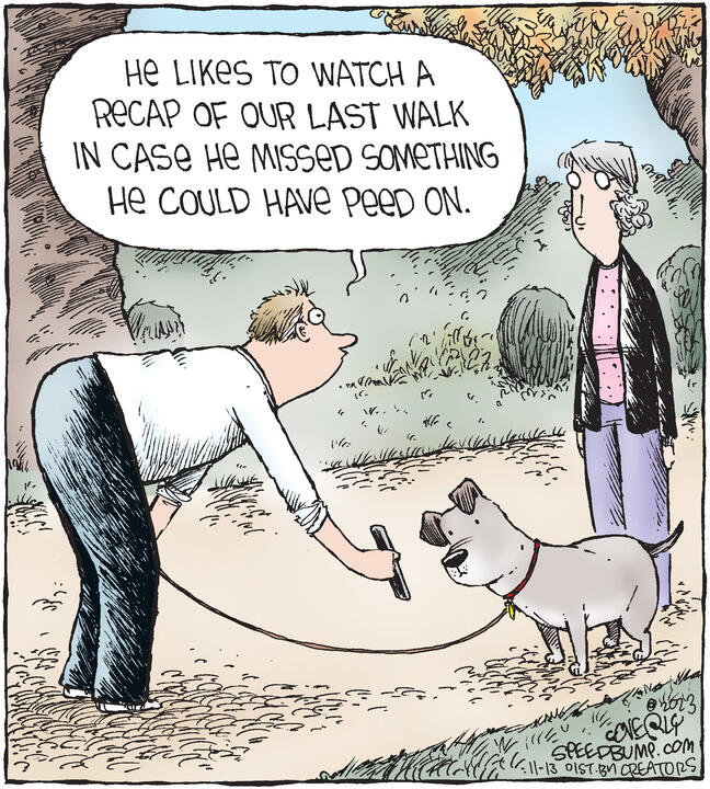 Speed Bump for Nov 13, 2023