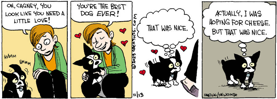 Zack Hill for Nov 13, 2023