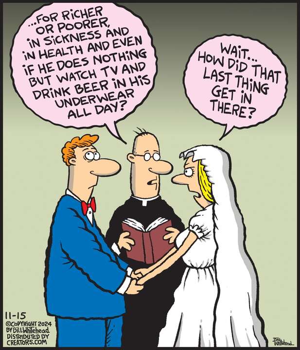 Free Range for Nov 15, 2024