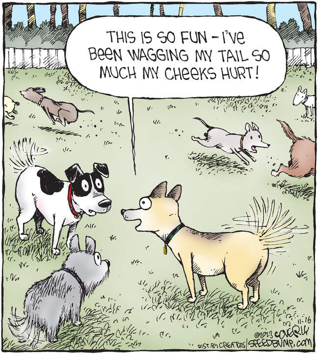 Speed Bump for Nov 16, 2023