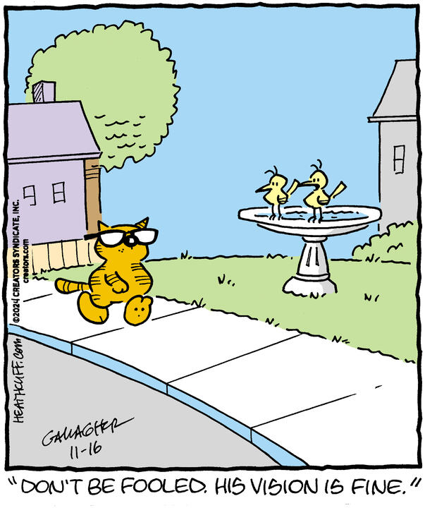 Heathcliff for Nov 16, 2024