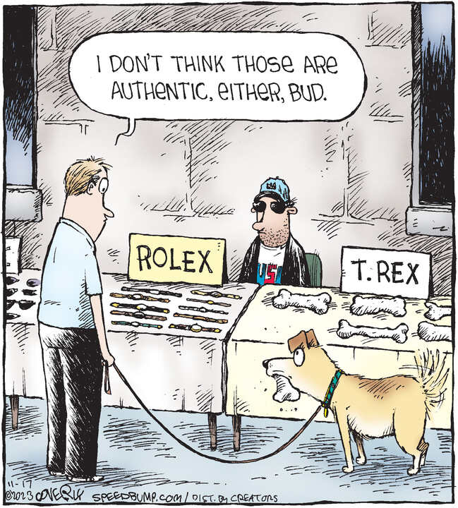 Speed Bump for Nov 17, 2023