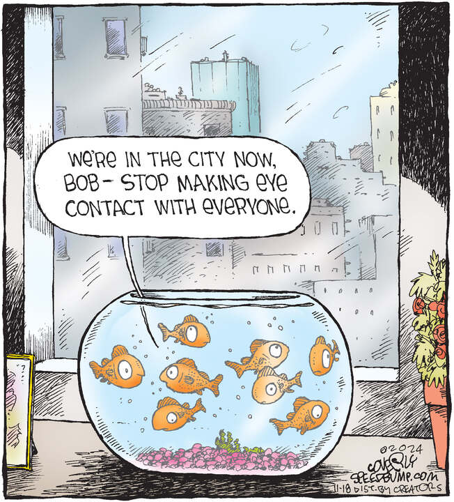 Speed Bump for Nov 18, 2024