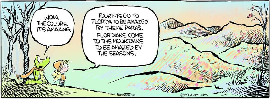 Shrimp and Grits for Nov 18, 2024