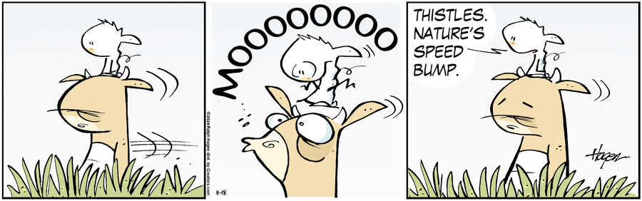 The Barn for Nov 18, 2024