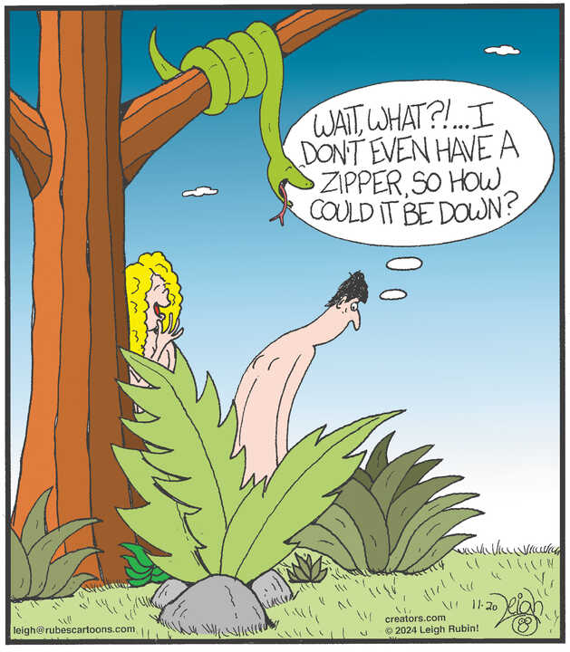 Rubes® for Nov 20, 2024