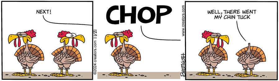 Diamond Lil for Nov 21, 2024