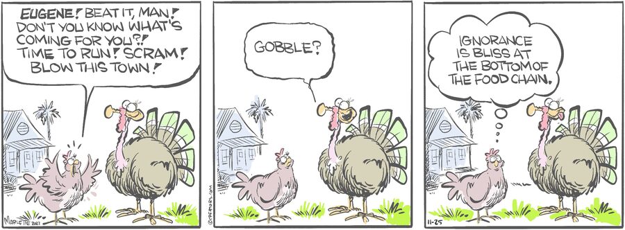 Shrimp and Grits for Nov 25, 2024