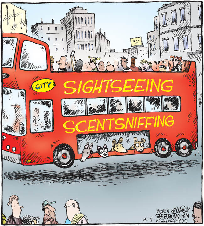 Speed Bump for Dec 05, 2024