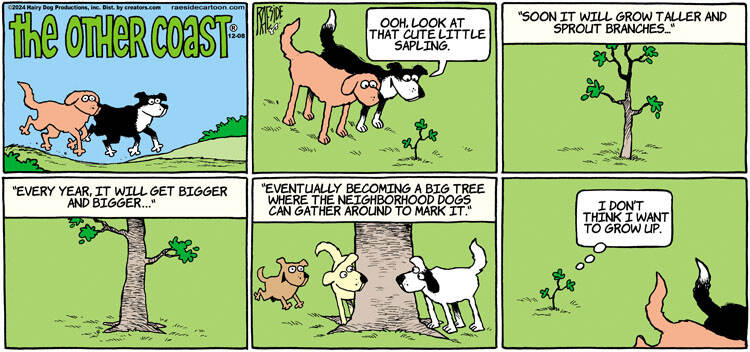 The Other Coast for Dec 08, 2024