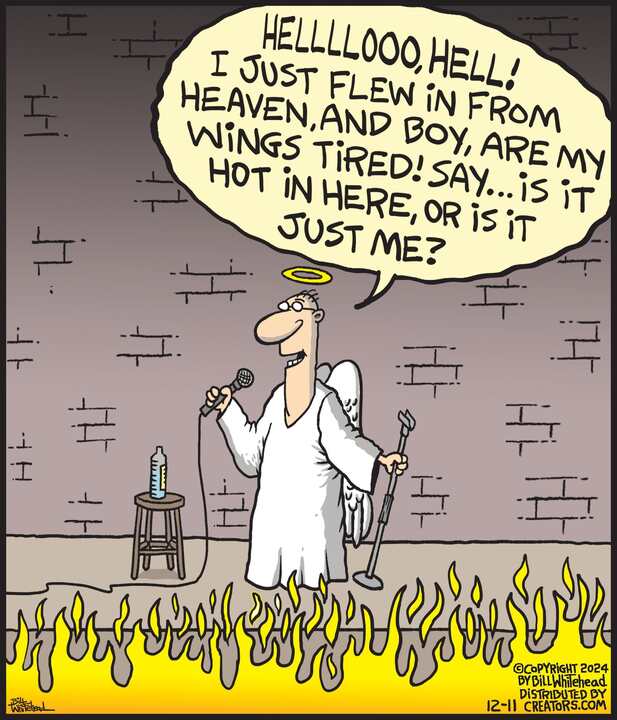 Free Range for Dec 11, 2024