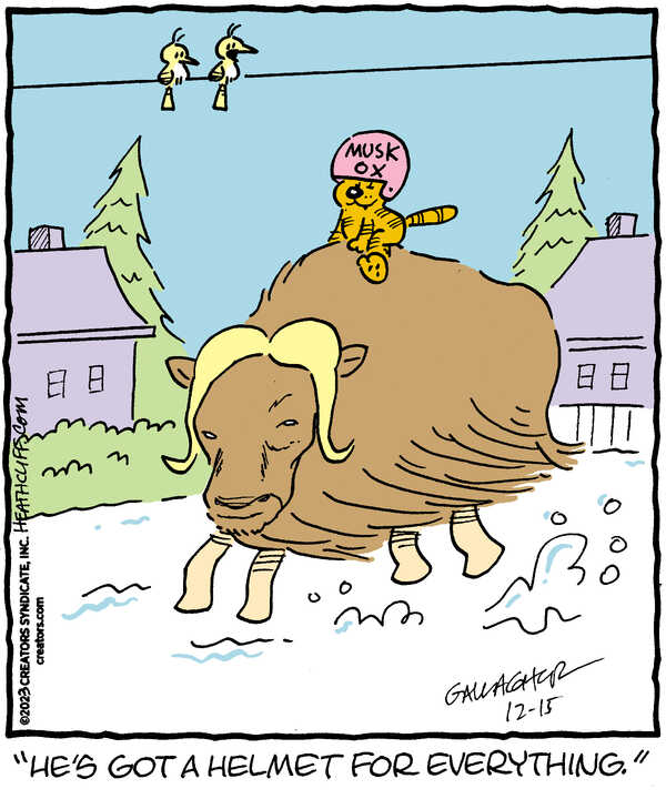 Heathcliff for Dec 15, 2023