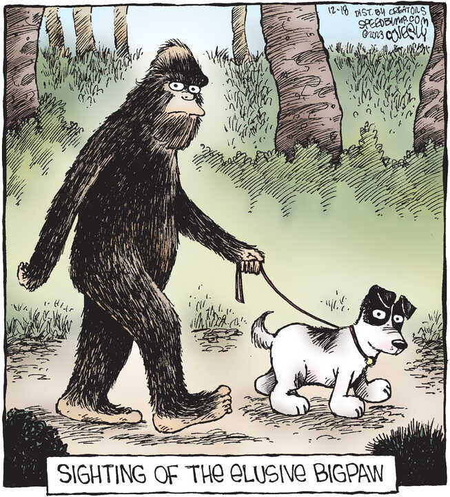 Speed Bump for Dec 18, 2023