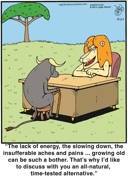 Rubes® for Dec 20, 2024