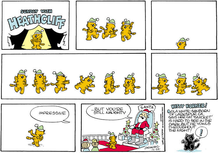 Heathcliff for Dec 22, 2024