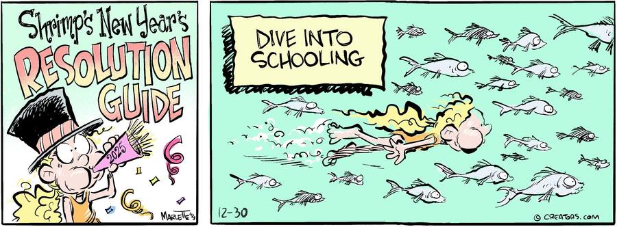 Shrimp and Grits for Dec 30, 2024