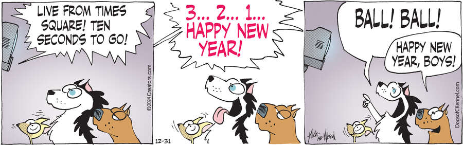 Dogs of C-Kennel for Dec 31, 2024