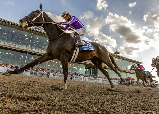 In a photo provided by Fair Grounds Race Course, Tiztastic with Joel Rosario aboard wins the 112th running of the Louisiana Derby horse race at Fair Grounds Race Course in New Orleans, Saturday, March 22, 2025. (Amanda Hodges Weir/Hodges Photography/Fair Grounds via AP)