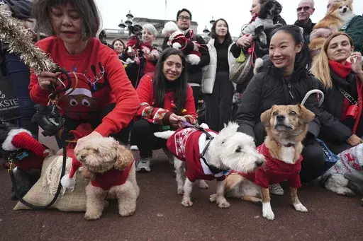 People and dogs take part during the Rescue Dogs of London and Friends Christmas Jumper Parade, outside Buckingham Palace in central London on Saturday Nov. 30, 2024. PA Photo. (James Manning/PA via AP)