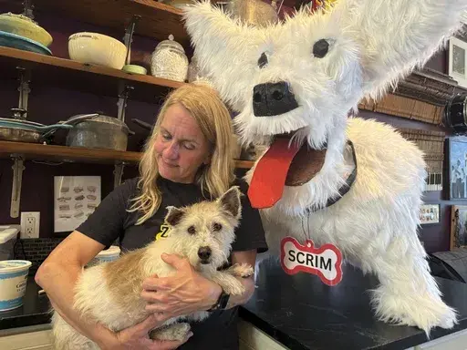 Scrim, a fugitive New Orleans rescue dog who gained fame evading a city-wide effort search for months, is held by Michelle Cheramie, who led efforts leading to his capture on Tuesday, Feb. 11, 2025 in New Orleans. (AP Photo/Jack Brook)