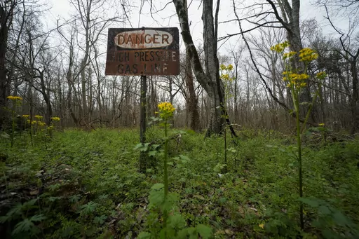 Dilapidated infrastructure remains at the B-5 orphan well site in the Atchafalaya National Wildlife Refuge in Lottie, La., Thursday, Feb. 16, 2023. (AP Photo/Gerald Herbert)