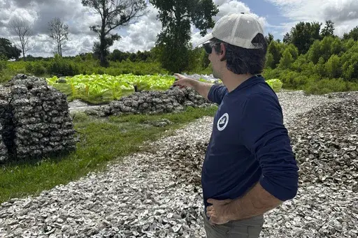 Michael Boris, with the Coalition to Restore Coastal Louisiana (CRCL), shows off thousands of Oyster shells that will eventually be used to fight coastal erosion along the southern most parts of the state, July 24, 2024, in Violet, La. (AP Photo/Stephen Smith, File)