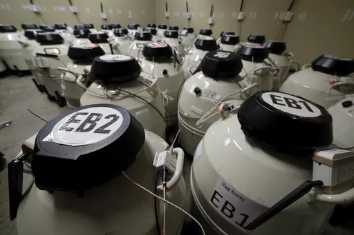 A room full of smaller cryo storage containers, each capable of holding approximately 150 egg samples immersed in liquid nitrogen, in one of the secured storage areas at the Aspire Houston Fertility Institute in vitro fertilization lab Tuesday, Feb. 27, 2024, in Houston. Women over 35 and those facing serious diseases like cancer, lupus and sickle cell are among the most likely to turn to IVF to build the families they desperately want. But in Alabama, they are among those whose dreams are in li