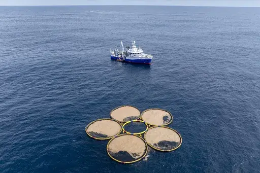 In this photo provided by Gigablue, circular structures called booms containing particles engineered by the company Gigablue, float near a research vessel in the Pacific Ocean off the coast of Dunedin, New Zealand, Saturday, Oct. 19, 2024, as part of a project to grow tiny organisms known as phytoplankton that absorb carbon dioxide from the ocean. (Gigablue via AP)
